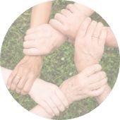 In Step with Recovery